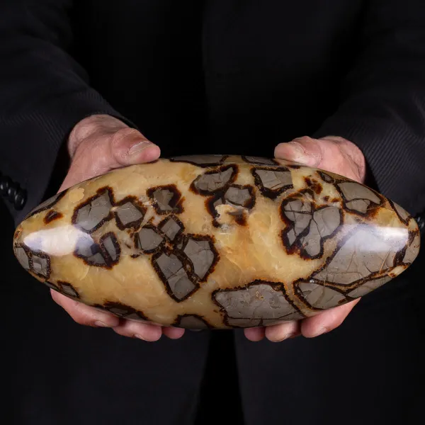 Shiva Lingam di Septaria: Ponte tra il Divino e il Terreno.