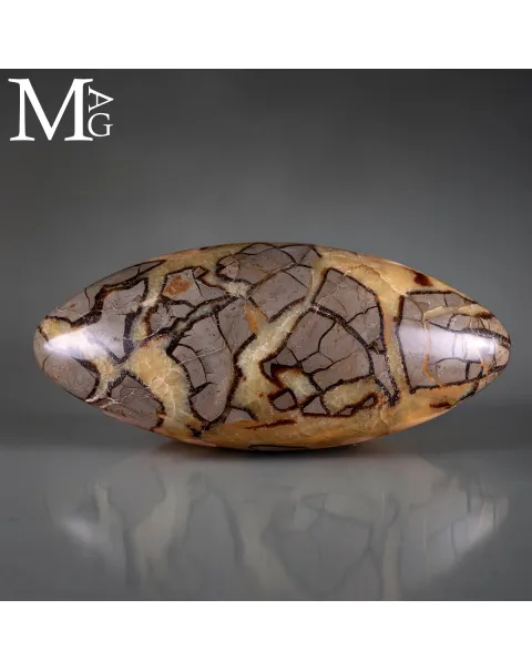 Shiva Lingam di Septaria: Alchimia Interiore per la Trasformazione.