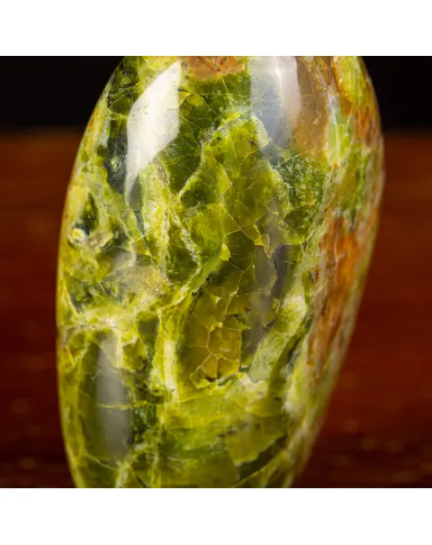 Serpentina del Madagascar: Energie Spirituali.