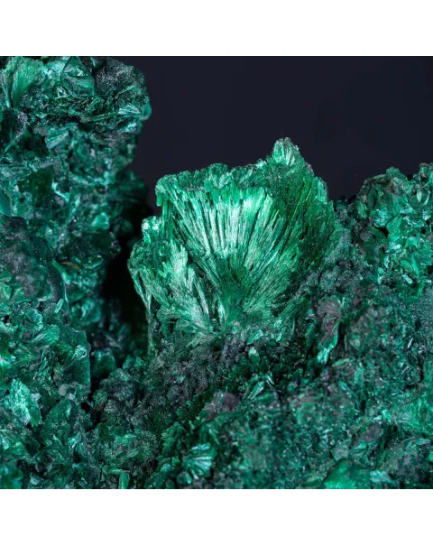 Malachite Fibrosa: Campione Naturale di Incredibile Bellezza e Forma , Straordinariamente Rara.