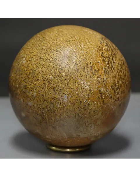 Sfera in Osso di Atlasaurus