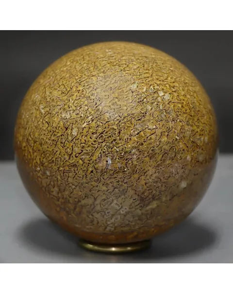 Sfera in Osso di Atlasaurus