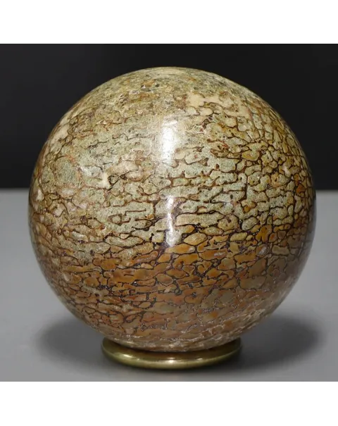 Sfera in Osso di Atlasaurus