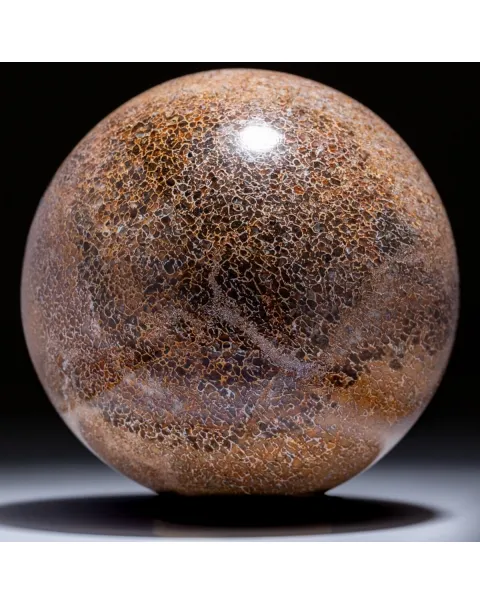Sfera in Osso di Atlasaurus