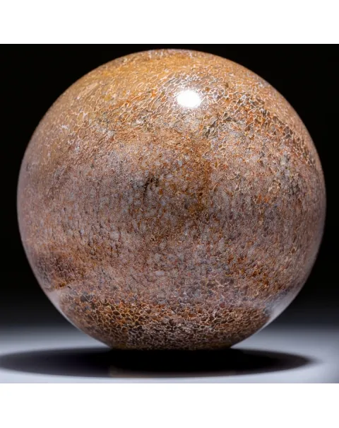 Sfera in Osso di Atlasaurus