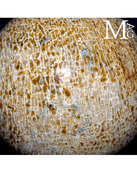 Sfera esclusiva in osso fossile Agatizzato