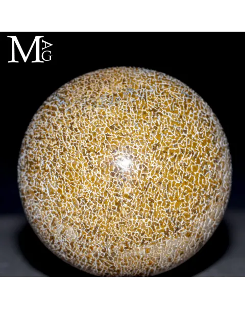 Sfera esclusiva in osso fossile Agatizzato
