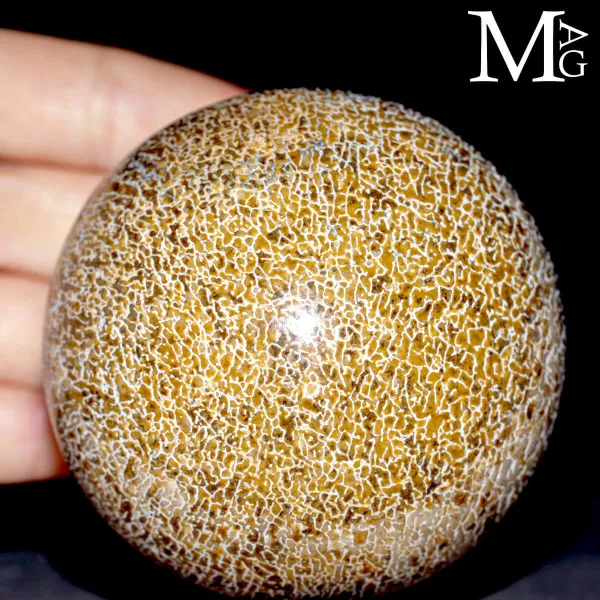 Sfera esclusiva in osso fossile Agatizzato