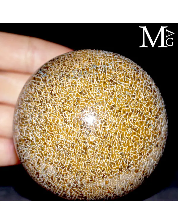 Sfera esclusiva in osso fossile Agatizzato