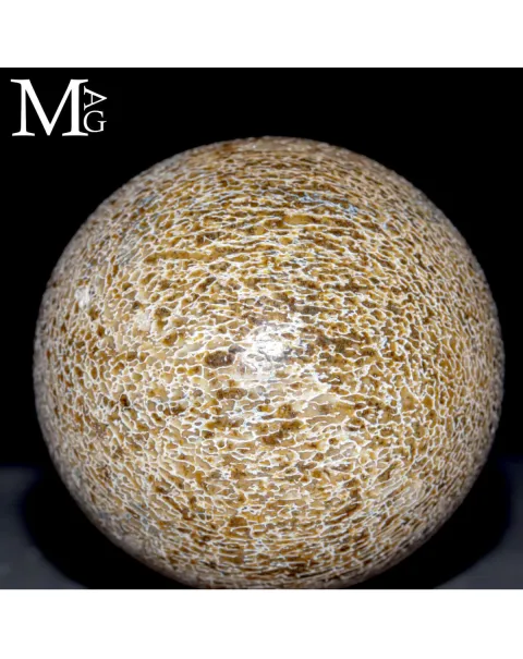 Sfera esclusiva in osso fossile Agatizzato