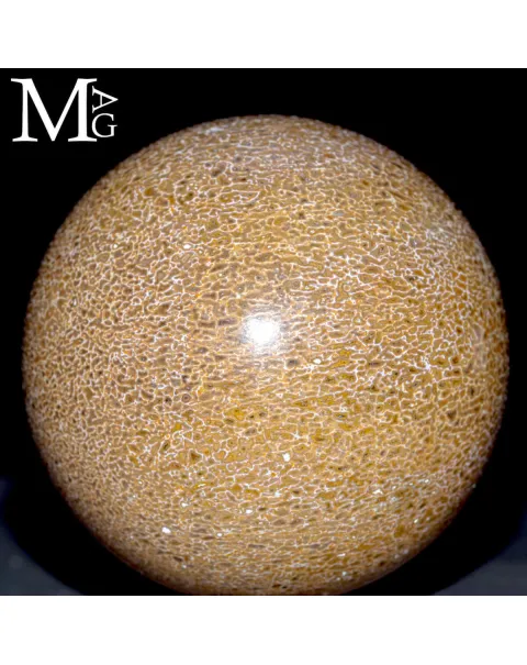 Sfera in osso fossile: Atlasaurus Imelakei.