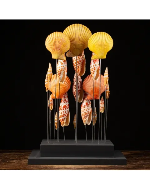 Conchiglie sotto Teca di Vetro