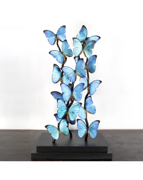 Morfo Blu Farfalle sotto Teca di Vetro