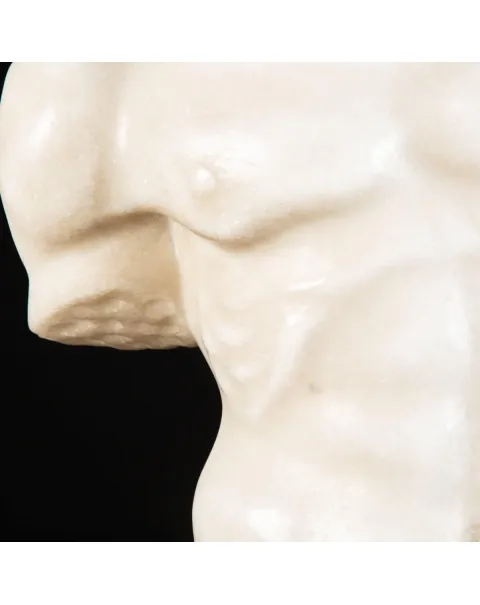 Scultura Torso Uomo in Marmo