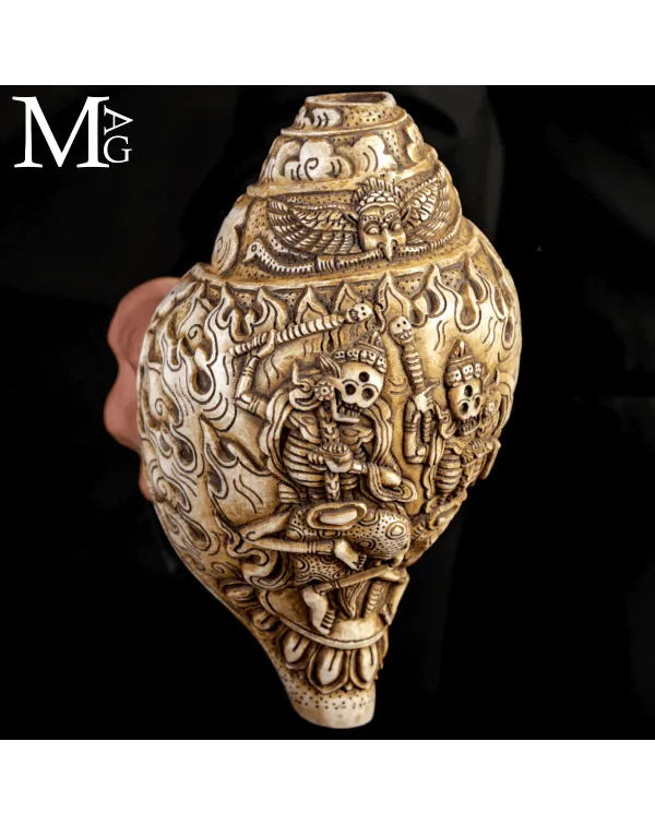 Conchiglia Shankha Tibetana Scolpita – I Citipat...