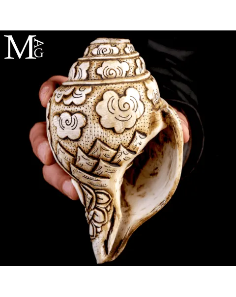 Conchiglia Shankha Tibetana Scolpita – Vishnu Ananta-Shesha, il Dio sul Serpente Cosmico