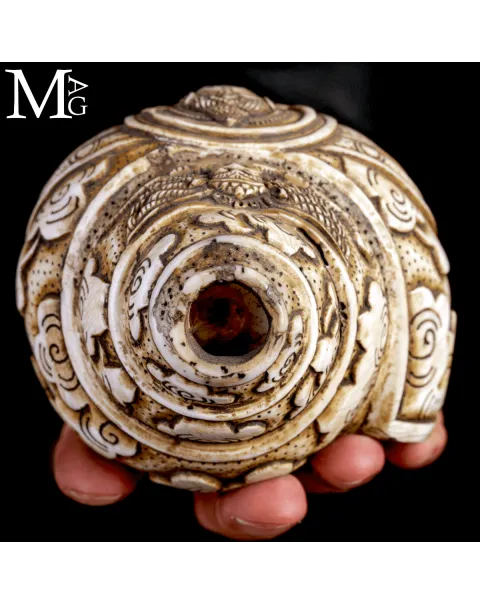 Conchiglia Shankha Tibetana Scolpita – Vishnu Ananta-Shesha, il Dio sul Serpente Cosmico