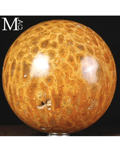 Sfera di Corallo Fossile dal Madagascar.