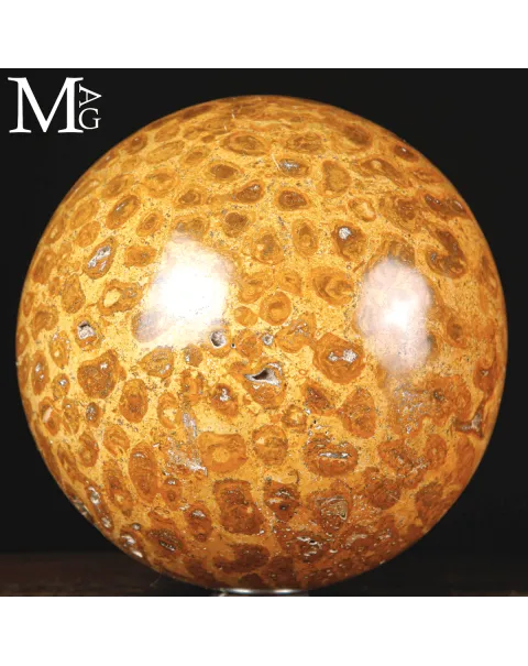 Sfera di Corallo Fossile dal Madagascar.
