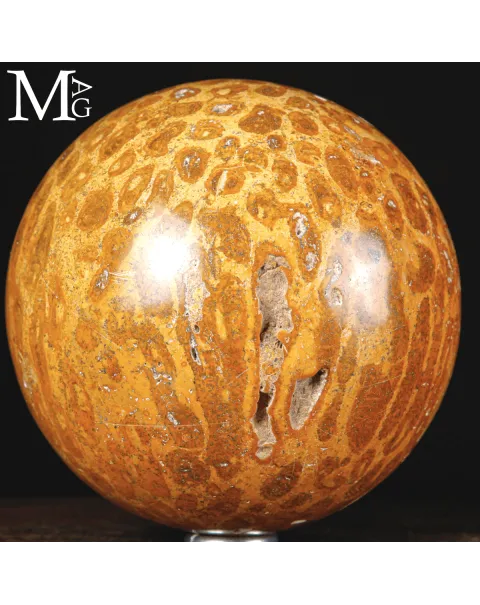 Sfera di Corallo Fossile dal Madagascar.