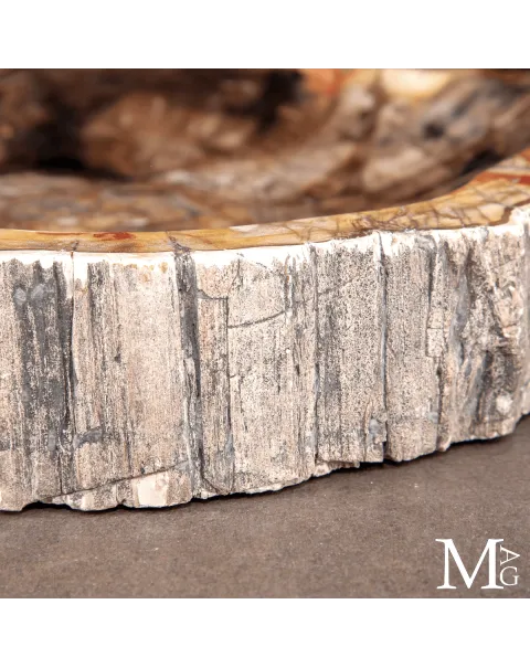 Svuotatasche in Legno Fossile del Madagascar
