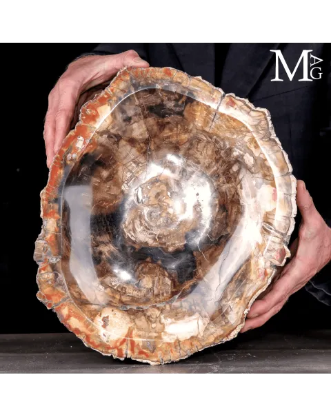 Svuotatasche in Legno Fossile del Madagascar