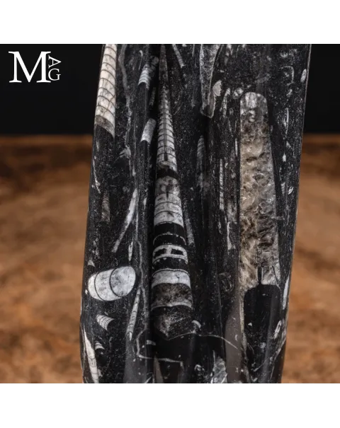 Torre di Orthoceras – Le Sentinelle del Mare Paleozoico