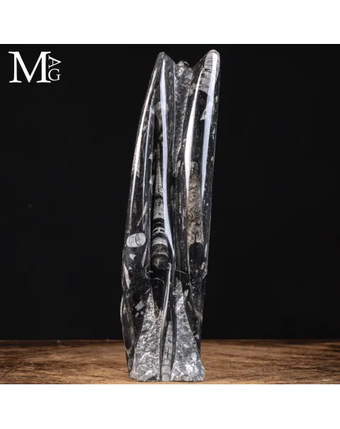 Torre di Orthoceras – Le Sentinelle del Mare Paleozoico