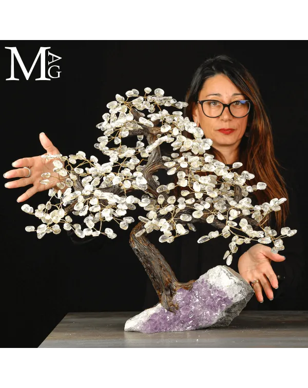 Bonsai in Quarzo su Drusa di Ametista – L'Energi...
