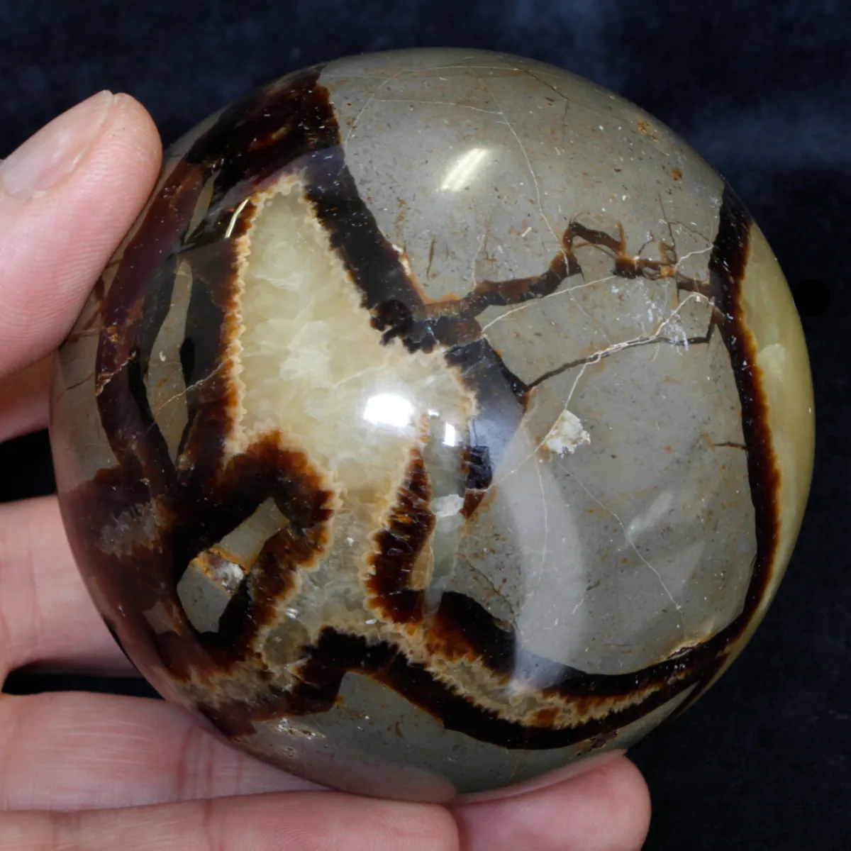 Sfera di Septaria