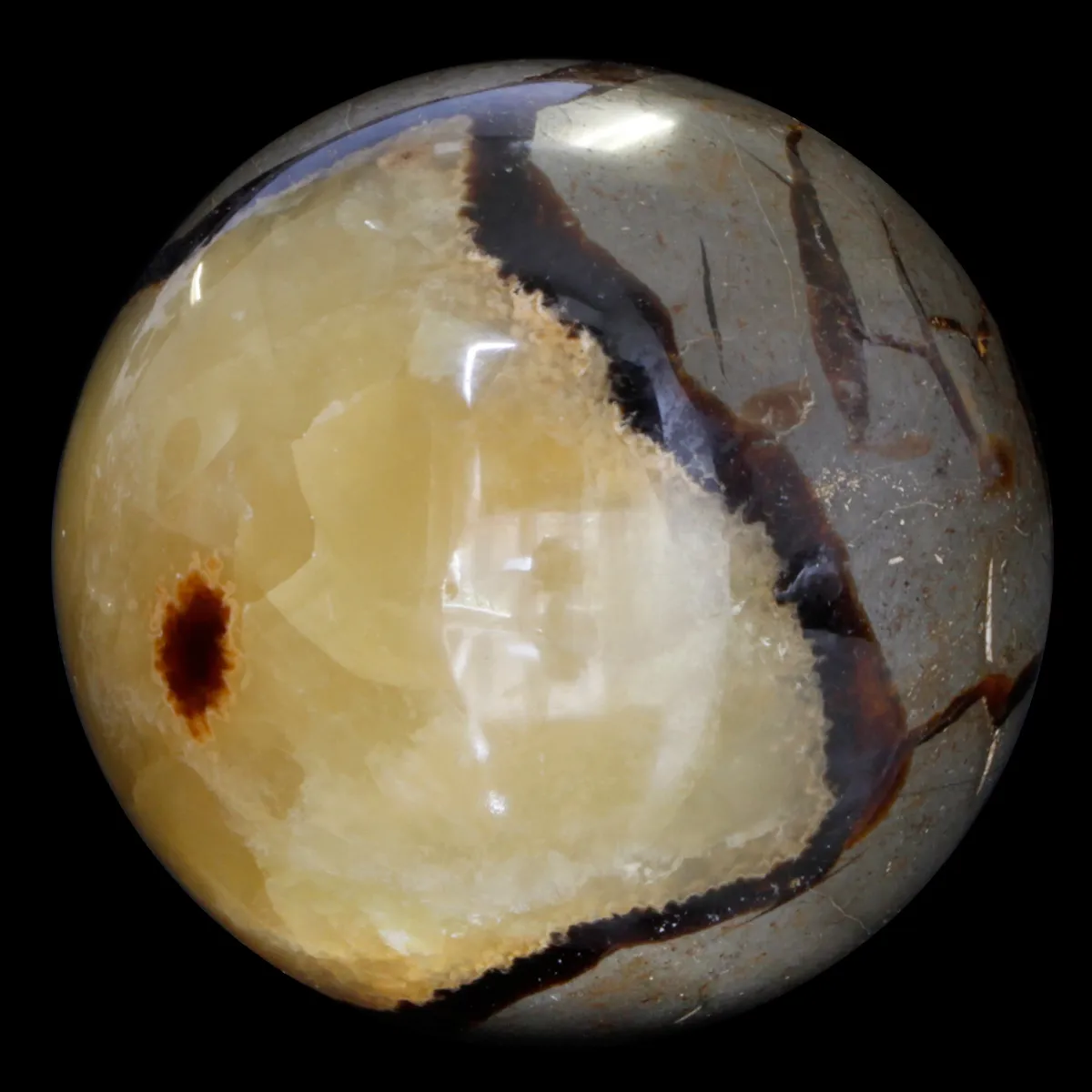 Sfera di Septaria