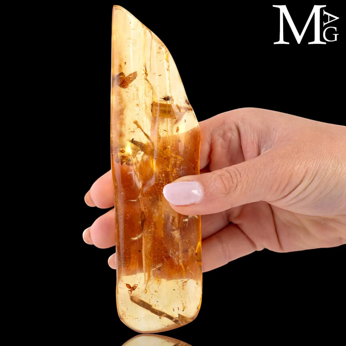 Copale con inclusioni di insetti.