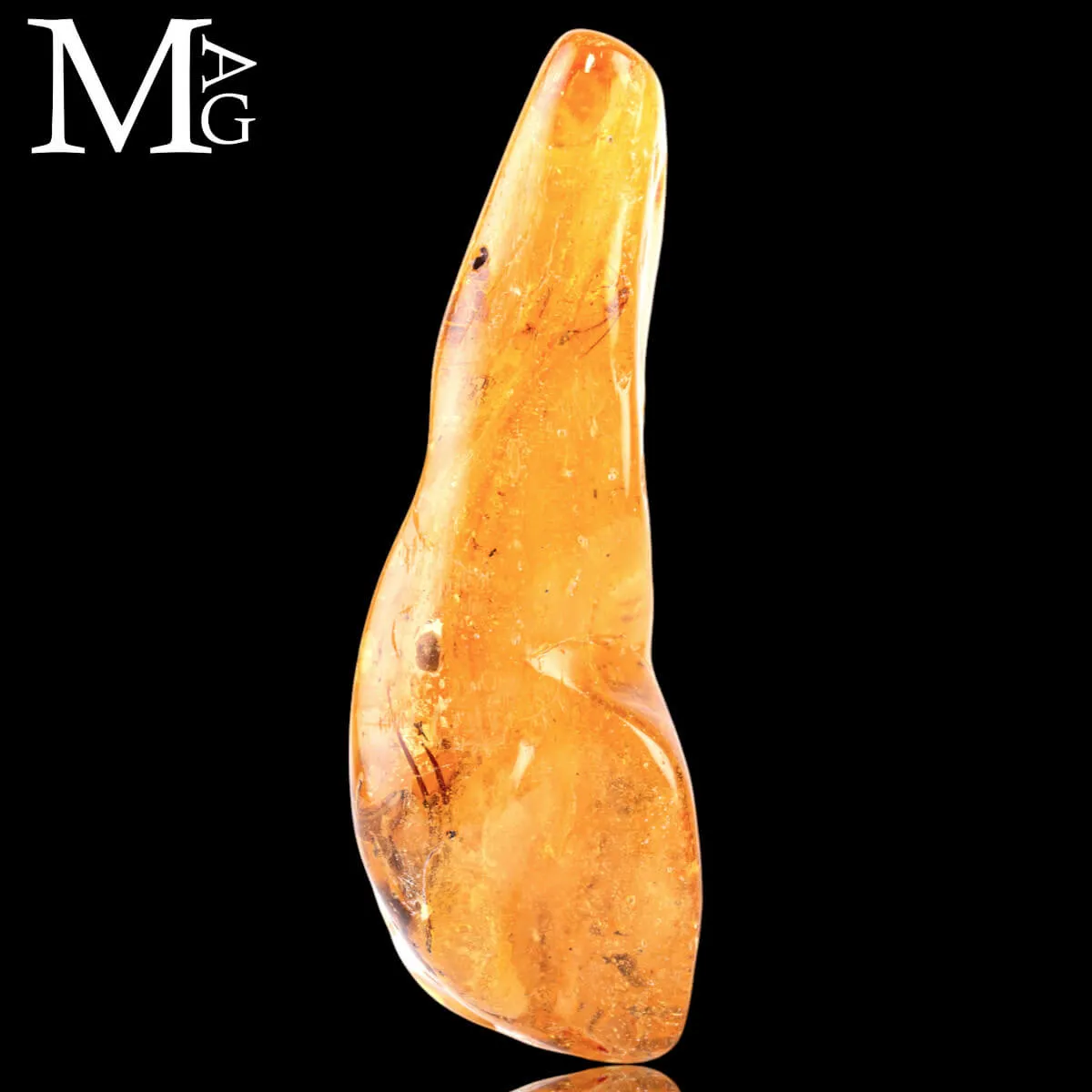 Copale fossile con insetti.
