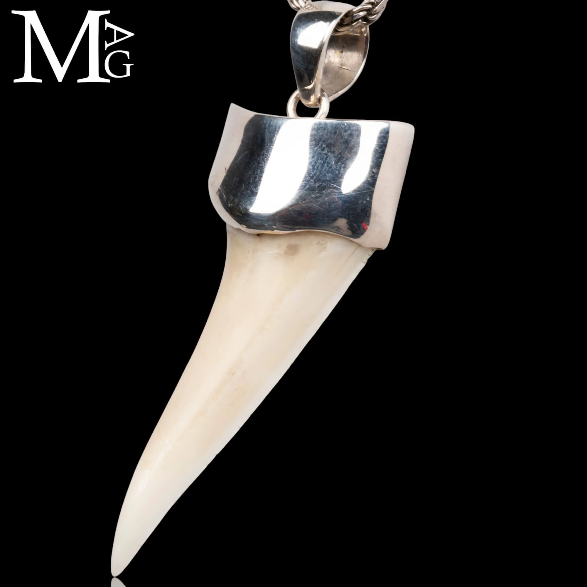 Ciondolo con Dente di Squalo Mako in Argento 925