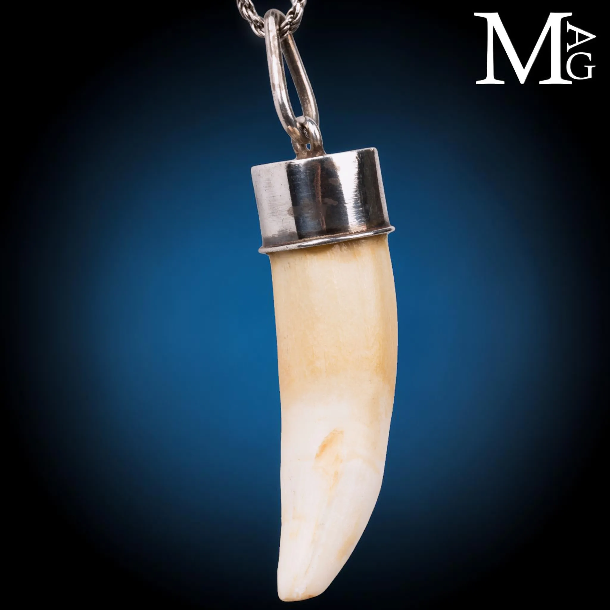 Pendente Talismano con Dente Naturale.