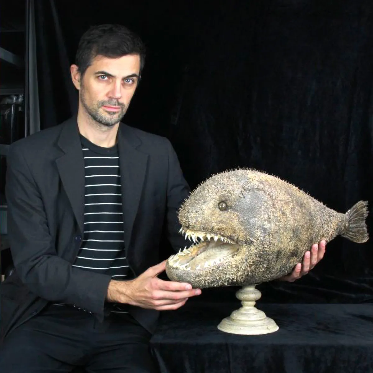 Chimera - Pesce degli abissi