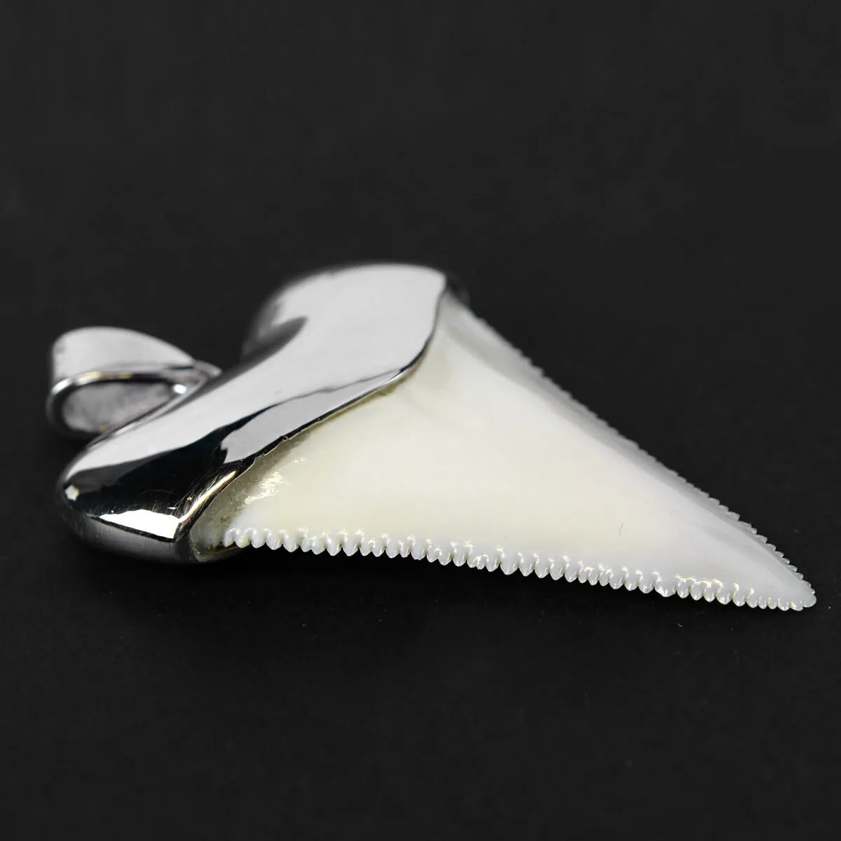 Pendente con Dente di Squalo Bianco