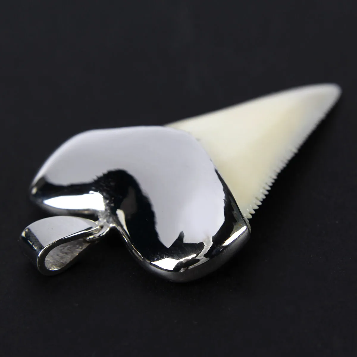Pendente con Dente di Squalo Bianco