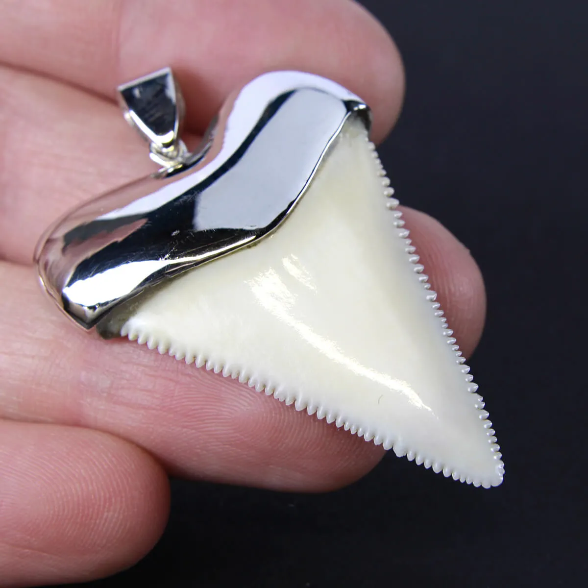 Pendente con Dente di Squalo Bianco