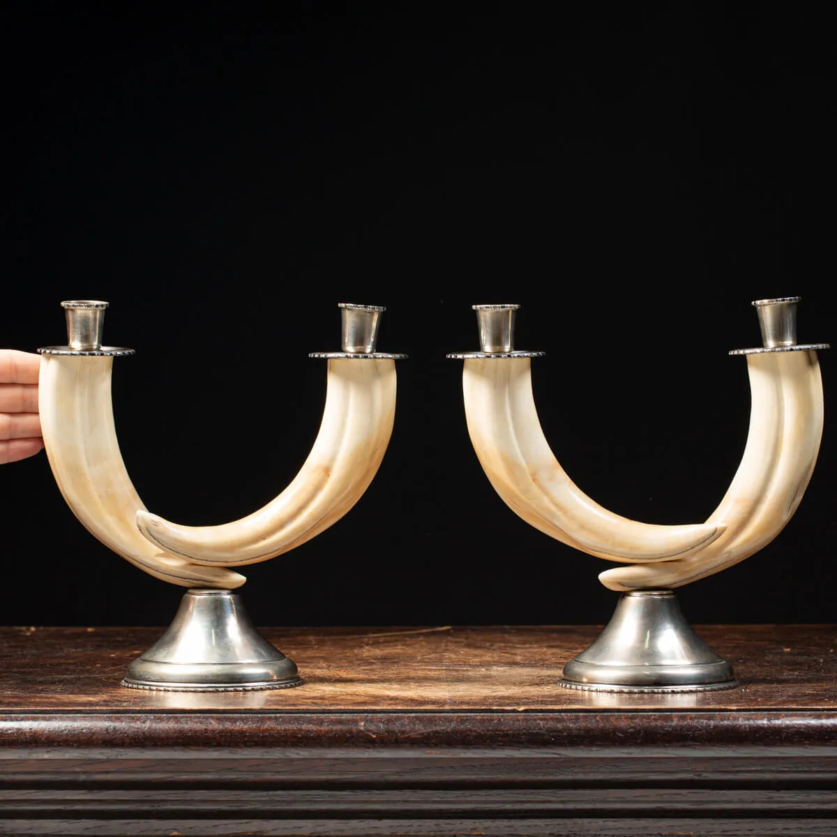 Candelabri Zanne Ippopotamo