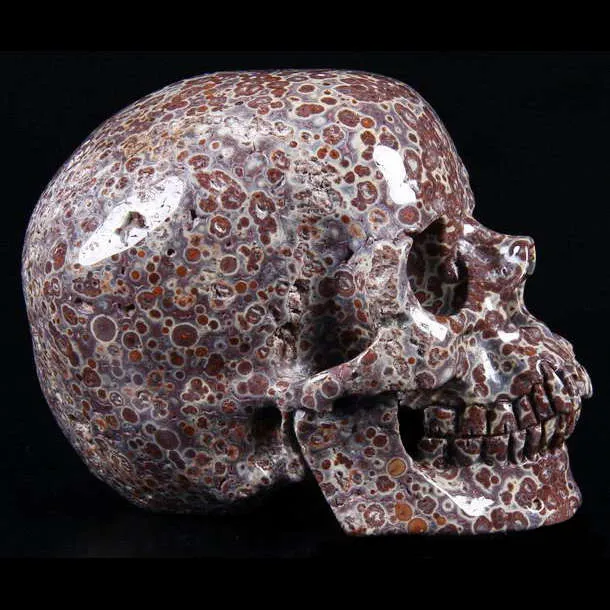 Teschio di Diaspro Asteroide
