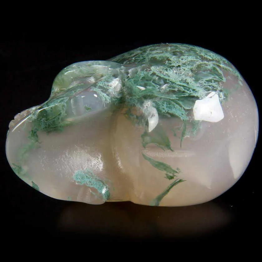 Teschio di Agata Muschiata