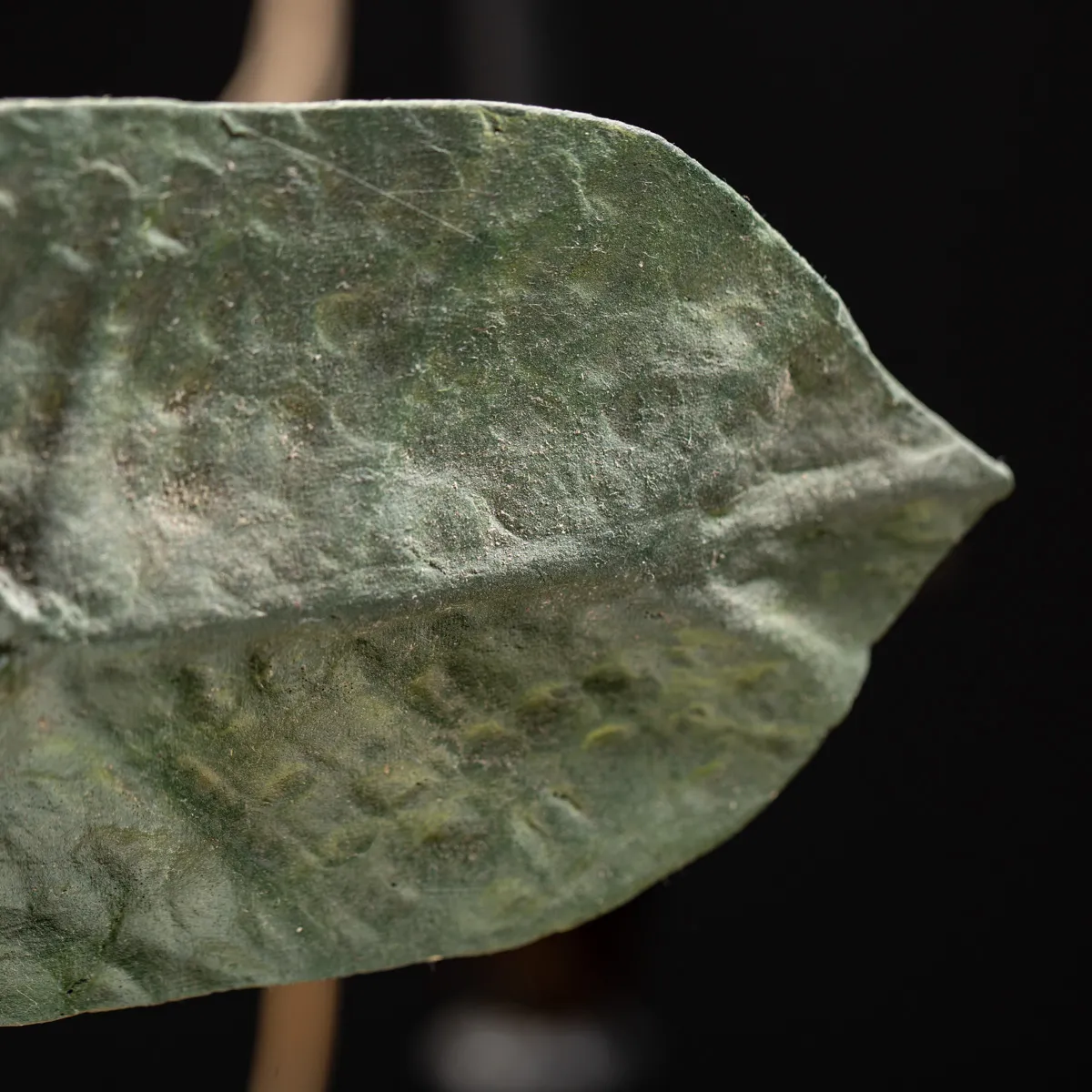 Antico Modello Anatomico Fiore 