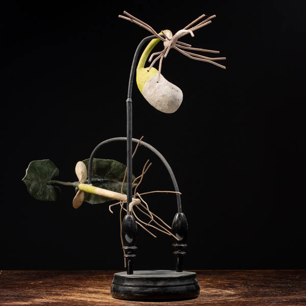 Antico Modello Anatomico Fiore 