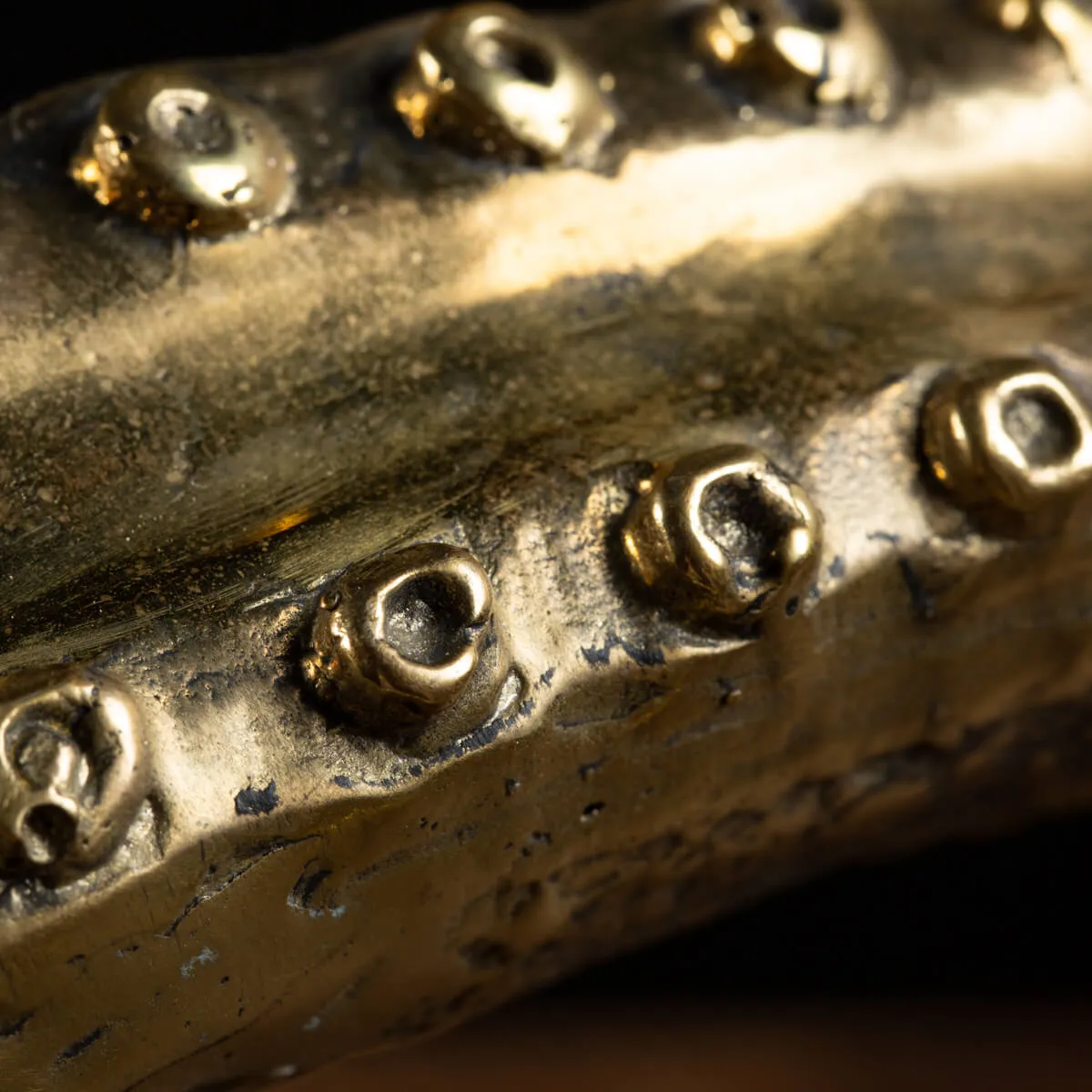 Scultura Bronzo Polpo