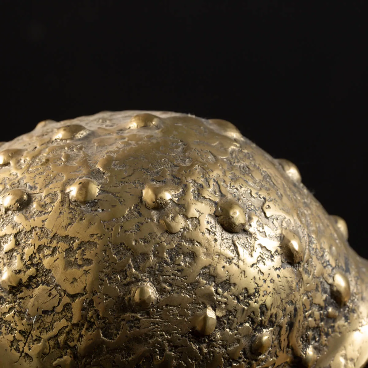 Scultura Bronzo Polpo