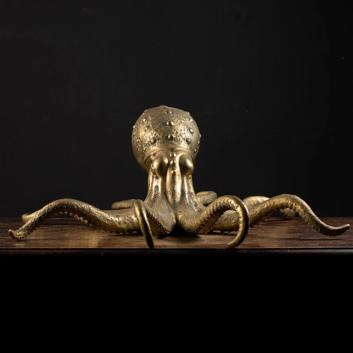 Scultura Bronzo Polpo