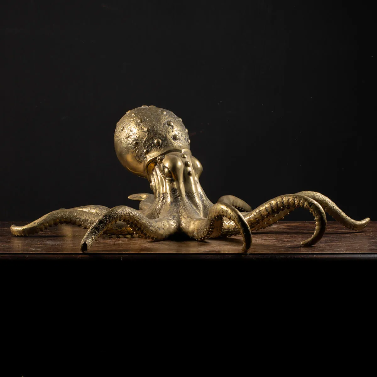 Scultura Bronzo Polpo