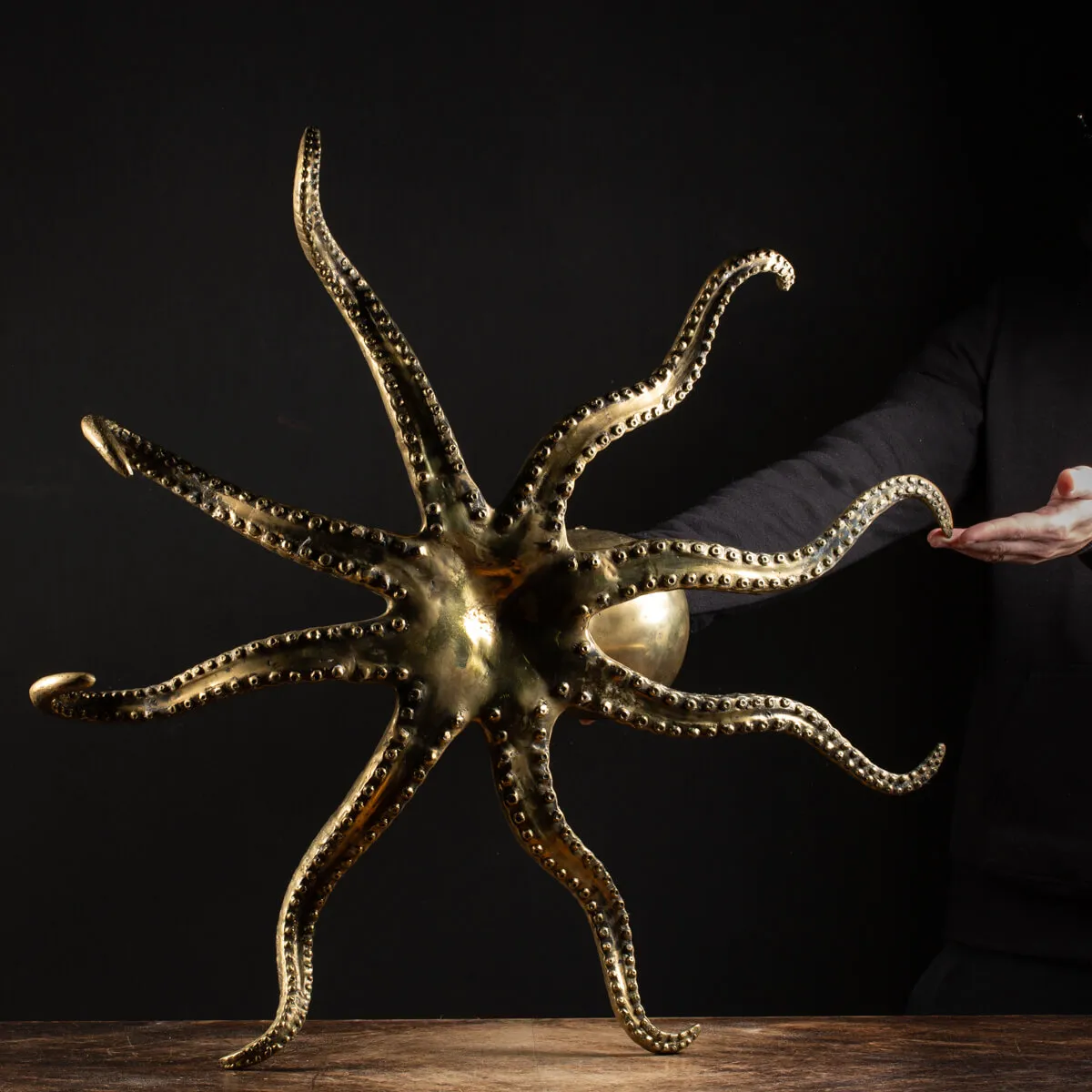 Scultura Bronzo Polpo