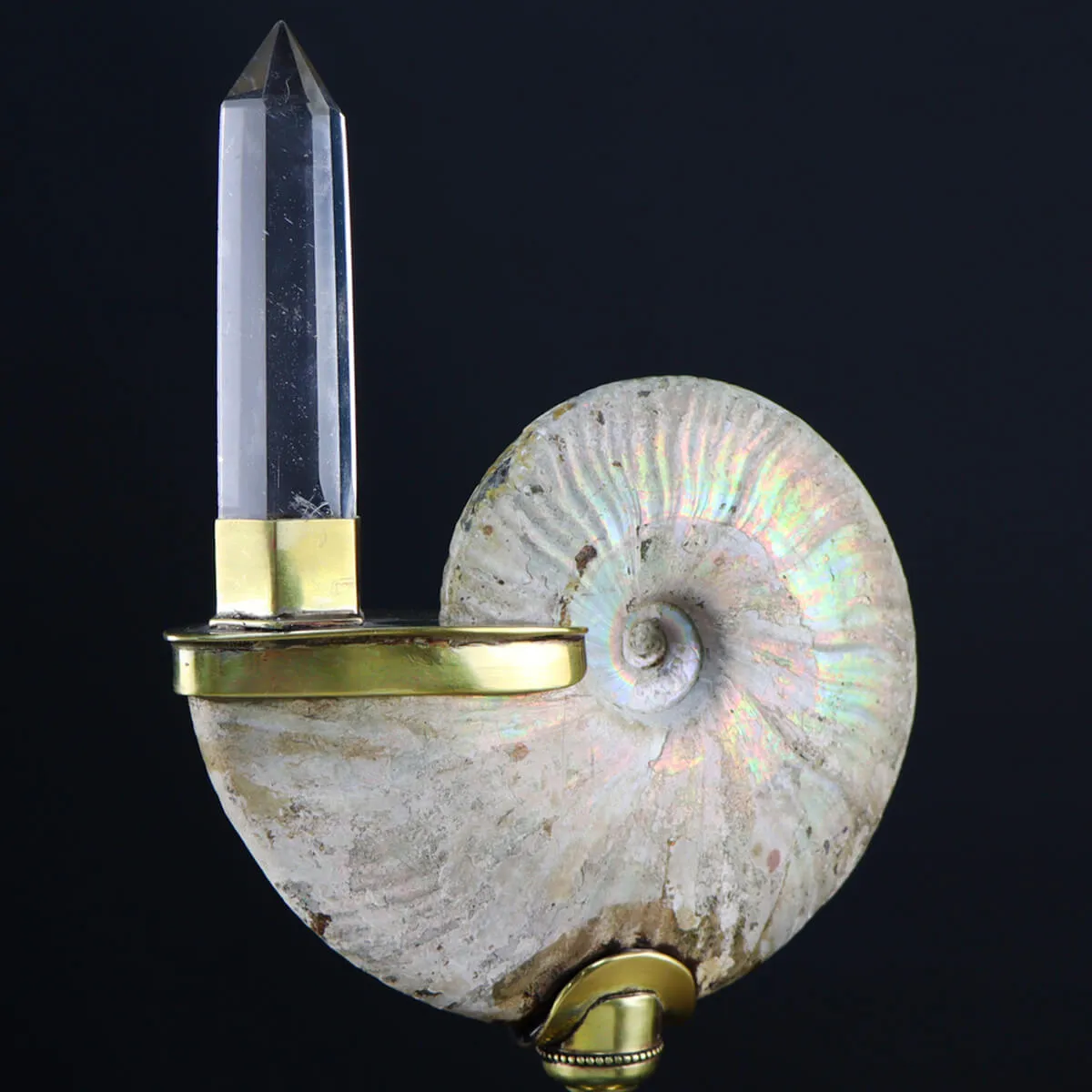 Ammonite Cleoniceras con punta di Quarzo